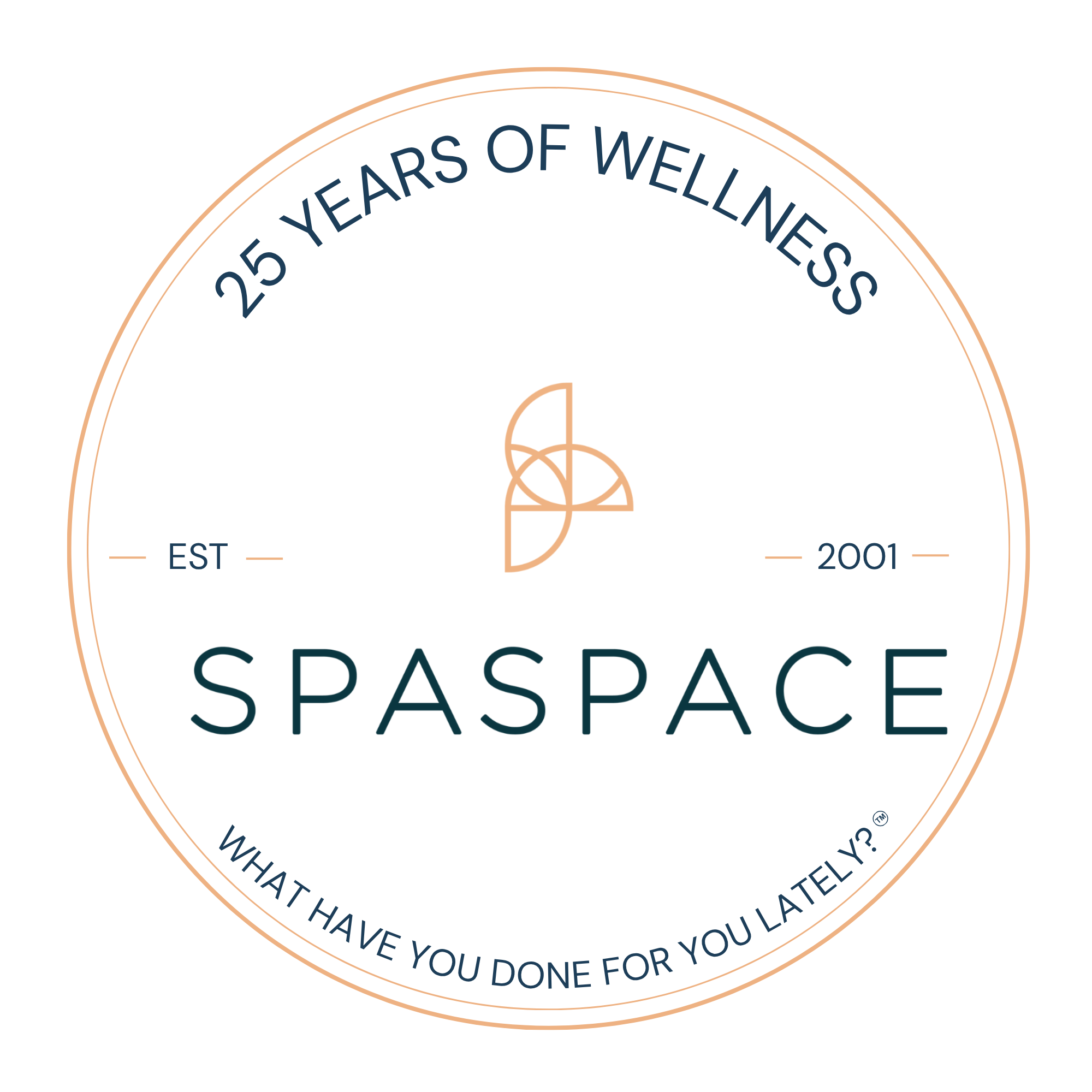 SpaSpace Chicago 25 Years of Wellness