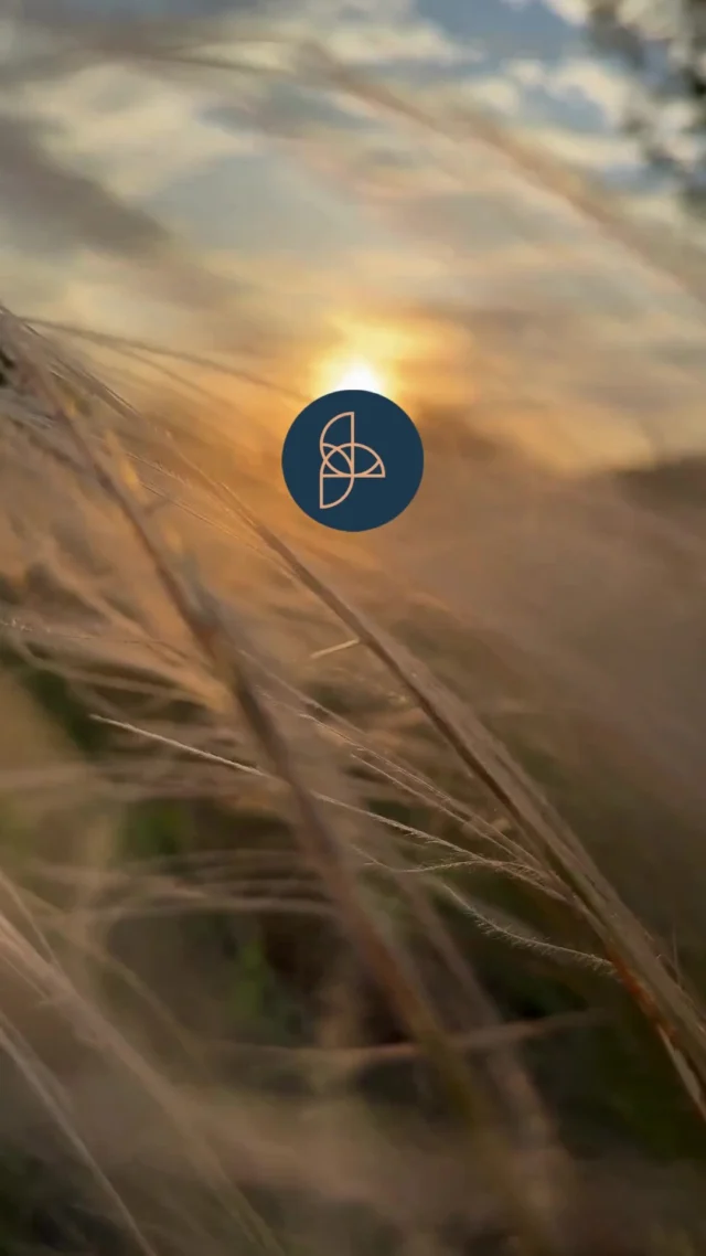 Halfway there 🌀 June invites you to check in. What are you leaving behind—and what are you stepping into? Reflect, reset, and realign with purpose.

#MidYearReset #IntentionalLiving #SeasonalReflection #SpaSpaceChicago